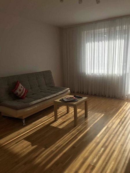 Welcoming apartment, Anykščiai, Литва