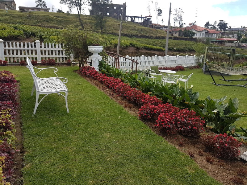 The Tea Garden, Nuwara Eliya, Sri Lanka