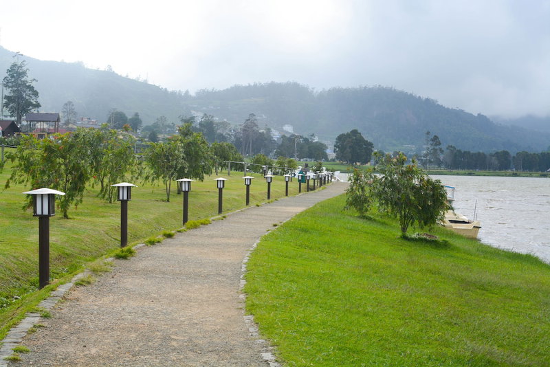 The Tea Garden, Nuwara Eliya, Sri Lanka