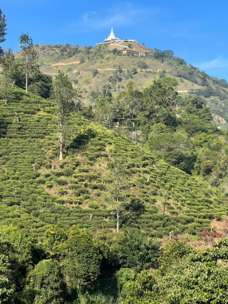 Wild Resort Ella, Badulla, Sri Lanka