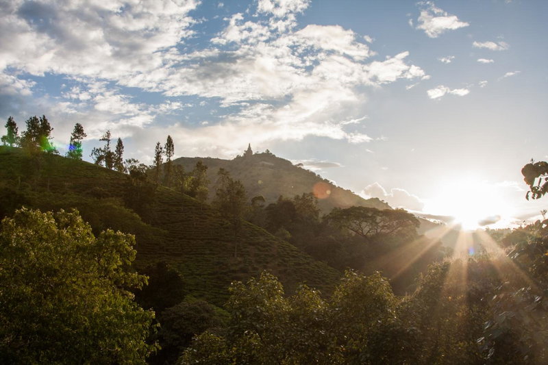 Wild Resort Ella, Badulla, Sri Lanka