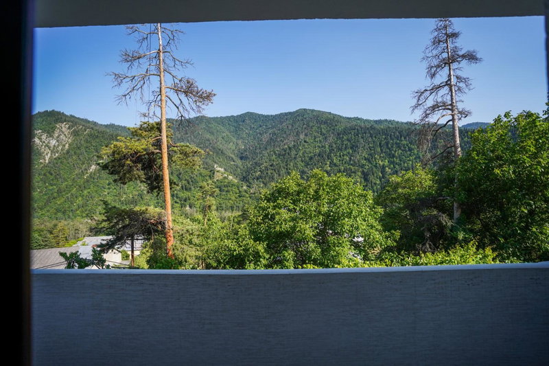 Natali Hotel, Borjomi, Georgia