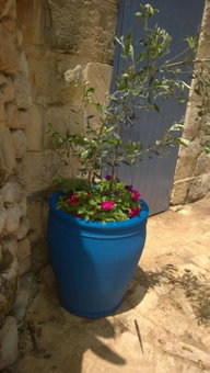 Ta Skorba Farmhouse Mgarr, Mġarr, Мальта