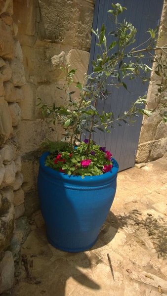 Ta Skorba Farmhouse Mgarr, Mġarr, Мальта