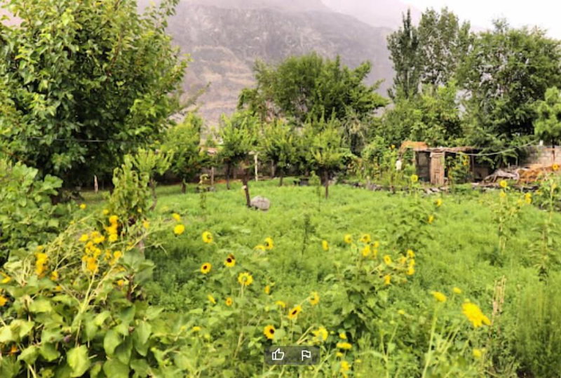 Countryside Resort Gilgit, Gilgit, Pakistan