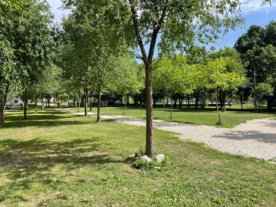 Camping Oaza, Bela Crkva, Serbie