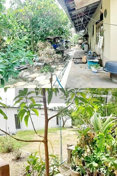 Sam Phran, Nakhon Pathom, Nakhon Pathom, Thailand