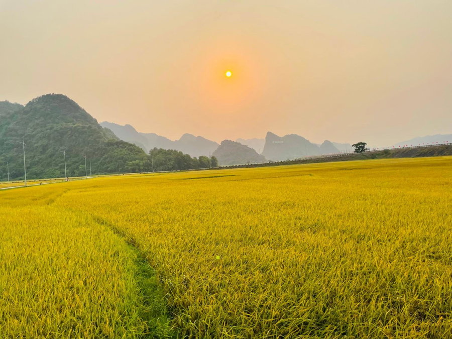 Huy-Homestay, Phong Nha, Vietnam
