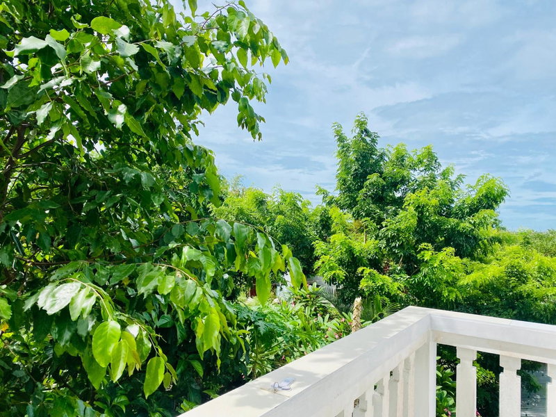 Rice River Villa - Hoi An, Hoi An, Việt Nam