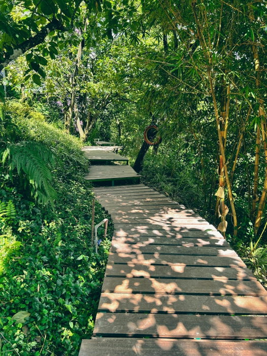 Hồng Môn Resort Đà Lạt, Da Lat, Vietnam