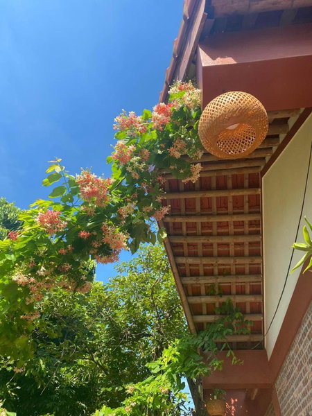 Thuy Xuyen Tam Coc Homestay, Ninh Binh, Việt Nam