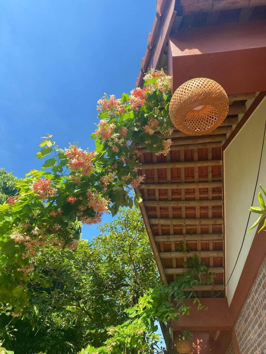 Thuy Xuyen Tam Coc Homestay, Ninh Binh, Việt Nam