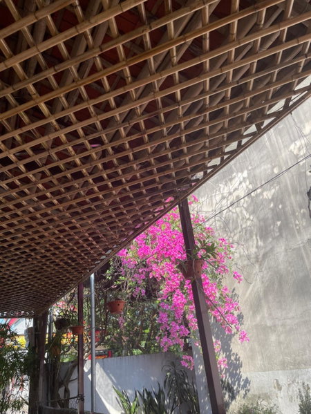 Thuy Xuyen Tam Coc Homestay, Ninh Binh, Việt Nam