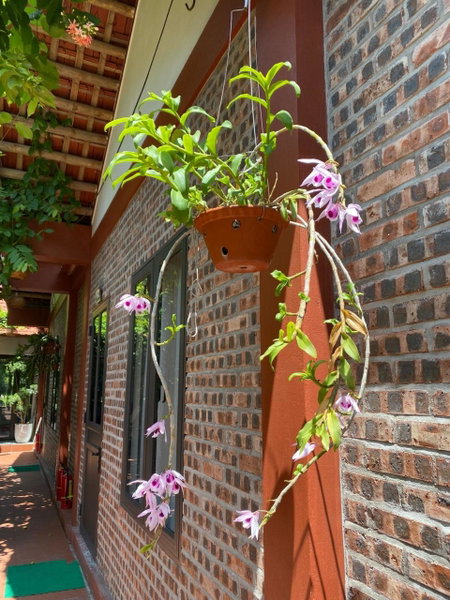 Thuy Xuyen Tam Coc Homestay, Ninh Binh, Việt Nam