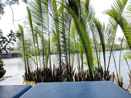 Riverside Oasis Villa, Hoi An, Việt Nam