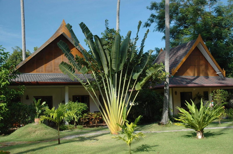 Palm Garden Resort, Rawai Beach, Thailand