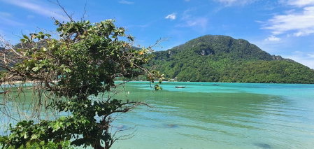 Phi Phi View Point Resort, Ko Phi Phi, ประเทศไทย