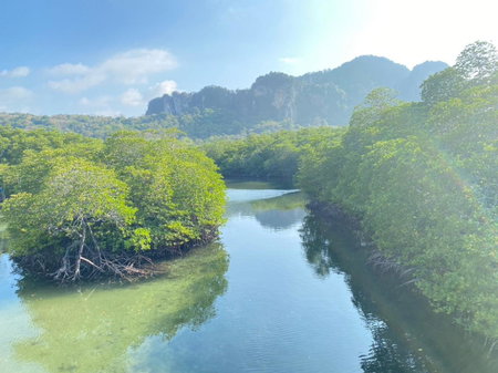 The Hip Resort @ Phi Phi, Phi Phi Don, ประเทศไทย