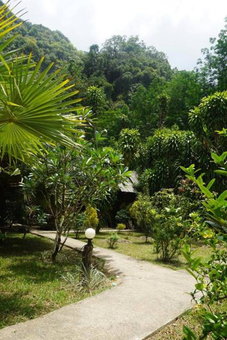 Khao Sok Green Mountain View, Khao Sok, ประเทศไทย