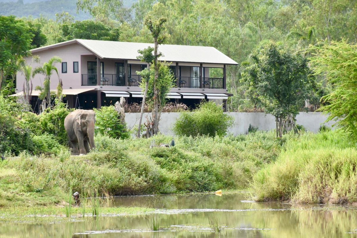 I love phants Lodge, Tailandia