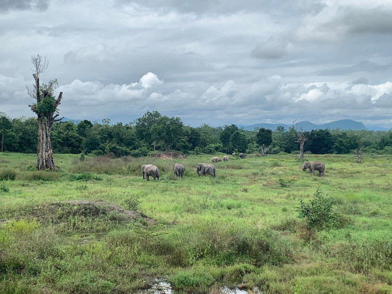 I love phants Lodge, Cha-am, ประเทศไทย