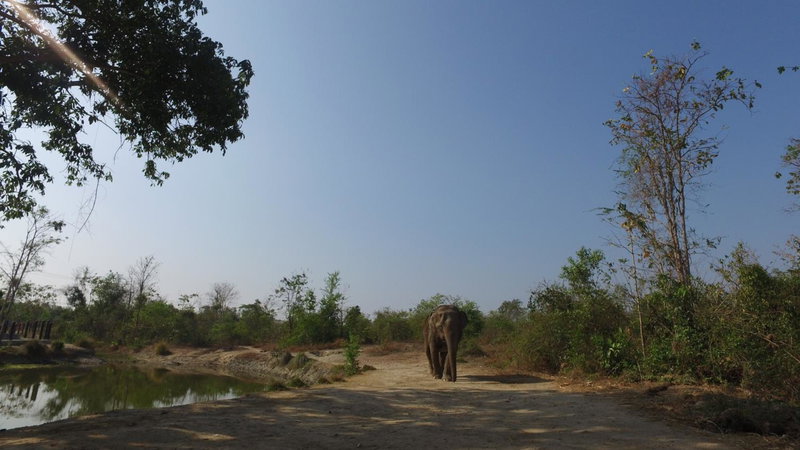 I love phants Lodge, Cha-am, ประเทศไทย