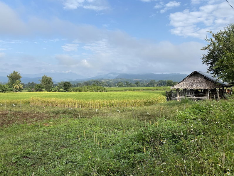 PuraVida Pai Resort, Pai, Thailand