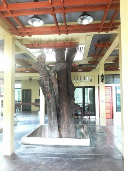 Luang Chumni Village, Phra Nakhon Si Ayutthaya, Tailandia