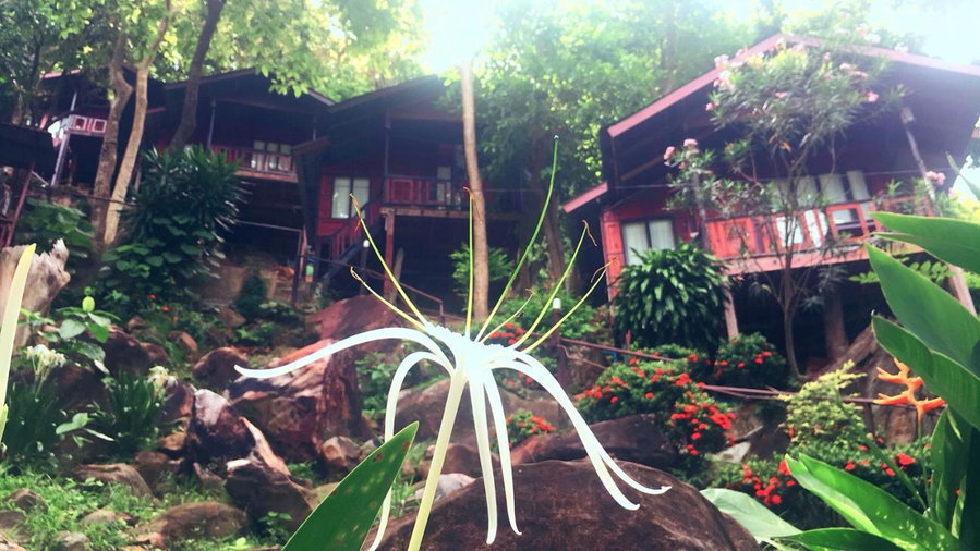 Phi Phi Green Hill Resort, Phi Phi Don, ประเทศไทย