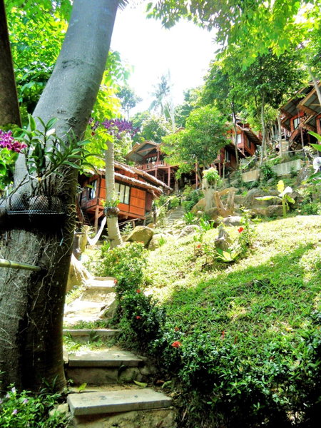 Phi Phi Green Hill Resort, Phi Phi Don, ประเทศไทย