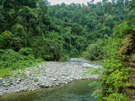 Green Travelodge Bukit Lawang, Bukit Lawang, Indonesia