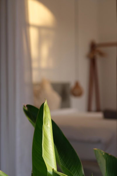 Suku Lifestyle Hotel & Villas, Praya, 인도네시아 공화국