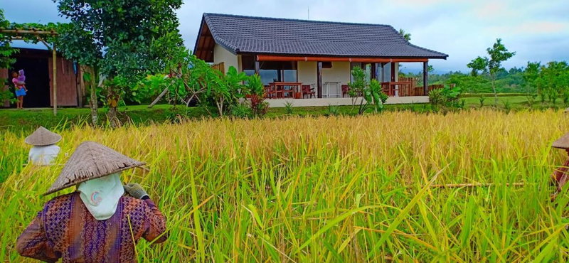 Kubu D'Ume Homestay, Tabanan, Indonesia