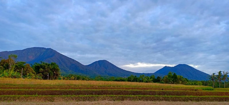 Kubu D'Ume Homestay, Tabanan, Indonesia