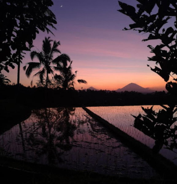 Kubu D'Ume Homestay, Tabanan, Indonesia