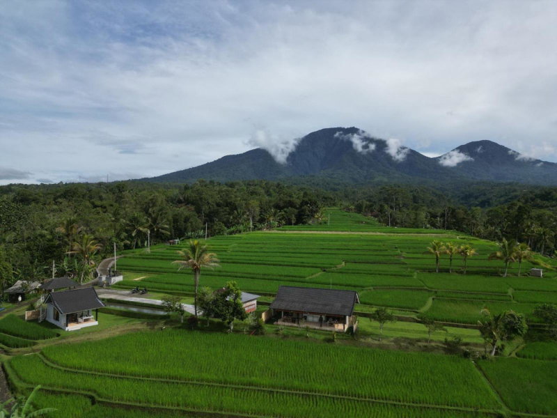 Kubu D'Ume Homestay, Tabanan, Indonesia