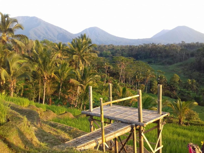 Kubu D'Ume Homestay, Tabanan, Indonesia