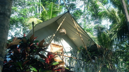 Ubud Tropical, Ubud, Индонезия