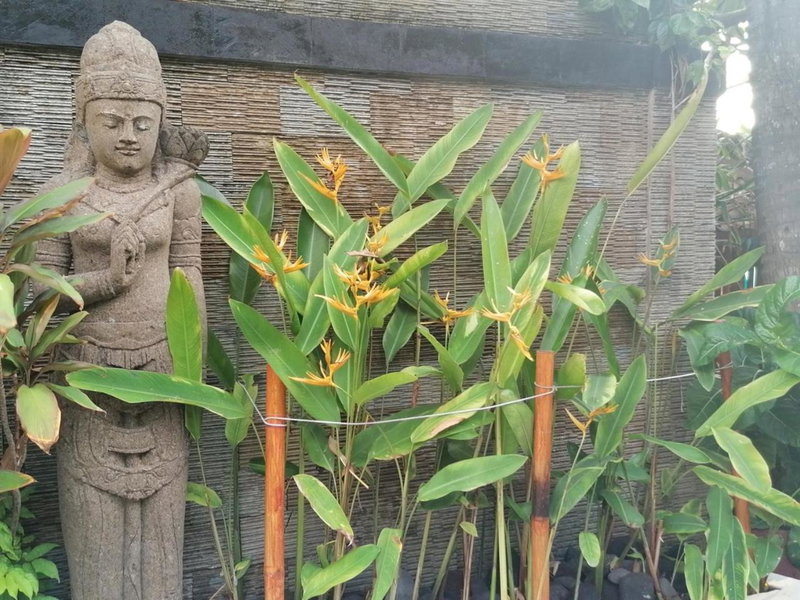 Puri Oka Beach Bungalows, Bedugul, Indonesia