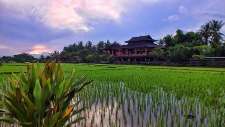 Mandala Desa, Sukawati, 인도네시아 공화국