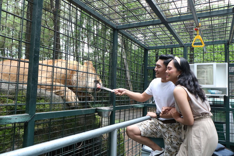 Baobab Safari Resort, Lawang, Indonesia