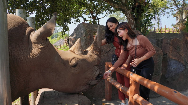 Baobab Safari Resort, Lawang, Indonesia