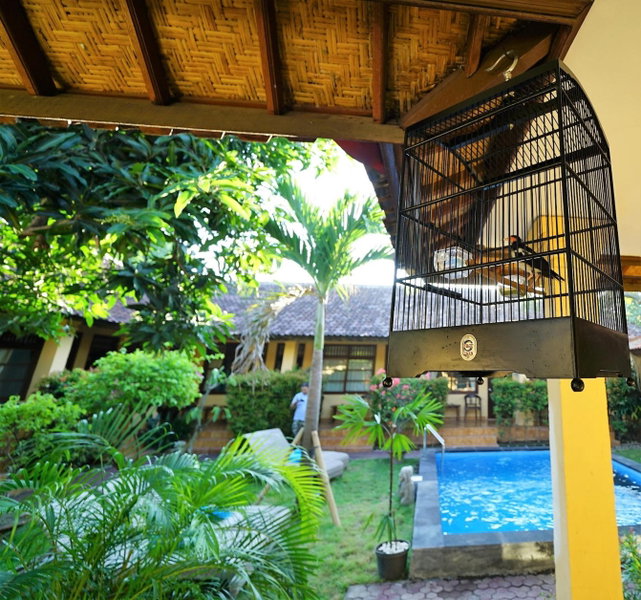 Mangga Bungalow, Denpasar, 인도네시아 공화국