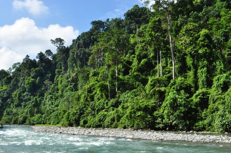 Garden Inn, Bukit Lawang, Indonesia