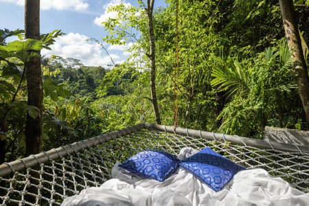 Sacred Valley by GenuineHost, Ubud, 인도네시아 공화국