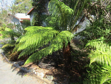 The Crays Accommodation, Strahan, Australia
