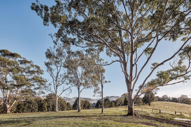 99 Acres Bangalow Retreat, Bangalow, Australia