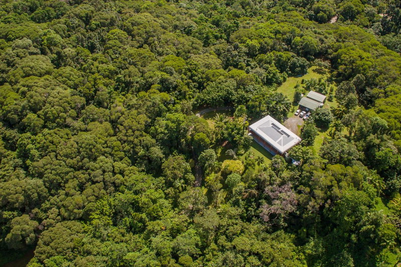 Daintree Manor B&B, Daintree, Австралия