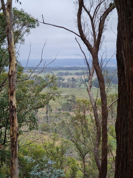 Canyonleigh Retreat, Canyonleigh, Australia