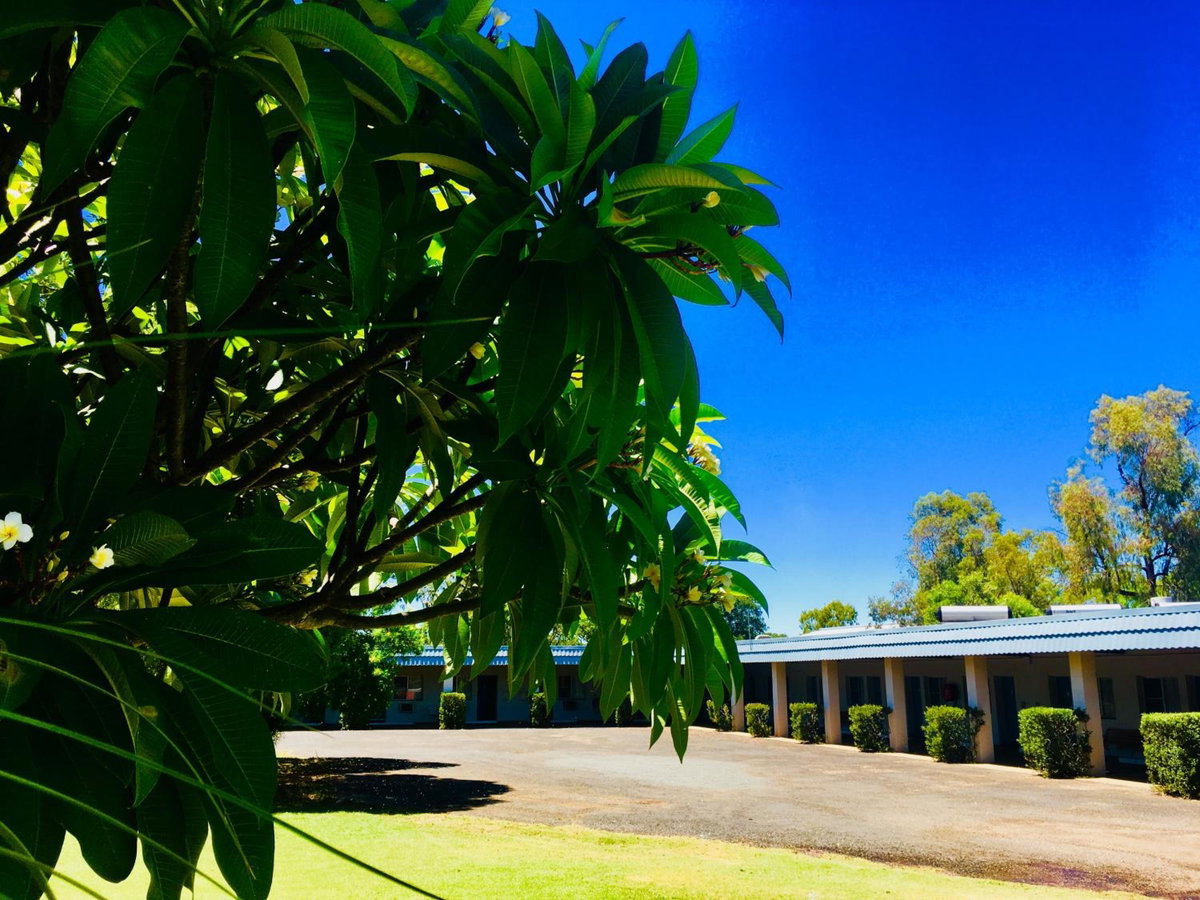 Hotel · Balonne River Motor Inn, Saint George